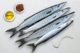 சீலா / Cheela