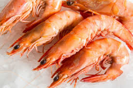 இறால் / Prawn