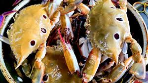 கடல் நண்டு / Crab