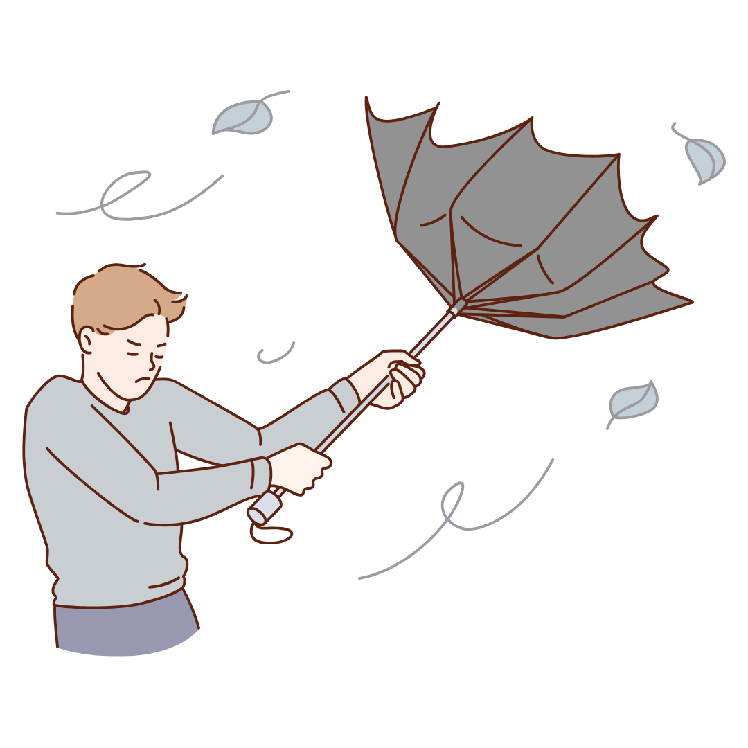 Wind Speed Icon